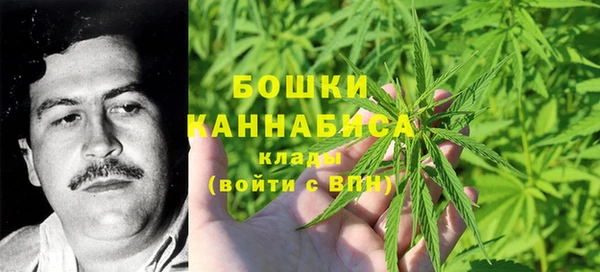 гашик Бронницы