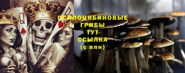 гашик Бронницы